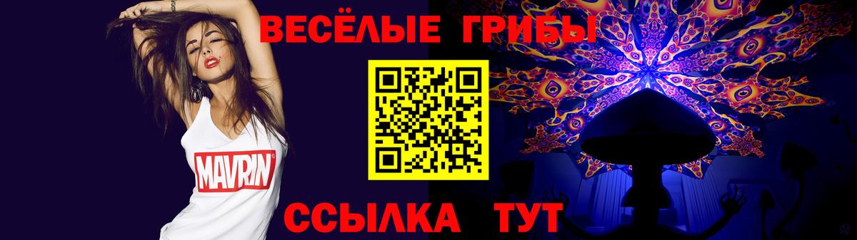 Псилоцибиновые грибы GOLDEN TEACHER Троицк