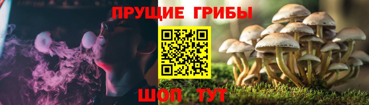 дарнет шоп  Вход с VPN  Троицк  Галлюциногенные грибы GOLDEN TEACHER  Галлюциногенные грибы Psilocybine cubensis 